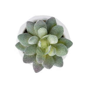 glo-20987-20987_3 GLOBOSTAR® ARTIFICIAL GARDEN SUCCULENT SEDEVERIA POTTED PLANT 20987 ΔΙΑΚΟΣΜΗΤΙΚΟ ΦΥΤΟ ΣΕΔΕ