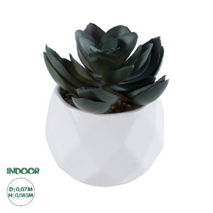 glo-20990-20990_0 GLOBOSTAR® ARTIFICIAL GARDEN SUCCULENT ECHEVERIA 20990 ΔΙΑΚΟΣΜΗΤΙΚΟ ΦΥΤΟ ΠΑΧΥΦΥΤΟ ΕΧΕΒΕΡΙΑ