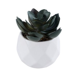 glo-20990-20990_2 GLOBOSTAR® ARTIFICIAL GARDEN SUCCULENT ECHEVERIA 20990 ΔΙΑΚΟΣΜΗΤΙΚΟ ΦΥΤΟ ΠΑΧΥΦΥΤΟ ΕΧΕΒΕΡΙΑ