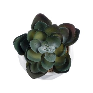 glo-20990-20990_3 GLOBOSTAR® ARTIFICIAL GARDEN SUCCULENT ECHEVERIA 20990 ΔΙΑΚΟΣΜΗΤΙΚΟ ΦΥΤΟ ΠΑΧΥΦΥΤΟ ΕΧΕΒΕΡΙΑ