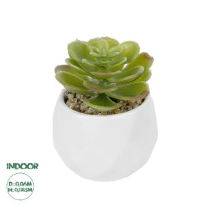 glo-20991-20991_0 GLOBOSTAR® ARTIFICIAL GARDEN SUCCULENT ECHEVERIA POTTED PLANT 20991 ΔΙΑΚΟΣΜΗΤΙΚΟ ΦΥΤΟ ΕΧΕΒ