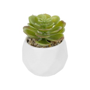 glo-20991-20991_2 GLOBOSTAR® ARTIFICIAL GARDEN SUCCULENT ECHEVERIA POTTED PLANT 20991 ΔΙΑΚΟΣΜΗΤΙΚΟ ΦΥΤΟ ΕΧΕΒ