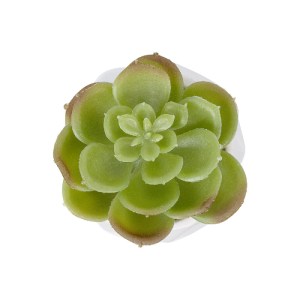 glo-20991-20991_3 GLOBOSTAR® ARTIFICIAL GARDEN SUCCULENT ECHEVERIA POTTED PLANT 20991 ΔΙΑΚΟΣΜΗΤΙΚΟ ΦΥΤΟ ΕΧΕΒ