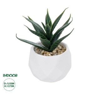 glo-20992-20992_0 GLOBOSTAR® ARTIFICIAL GARDEN SUCCULENT ALOE POTTED PLANT 20992 ΔΙΑΚΟΣΜΗΤΙΚΟ ΦΥΤΟ ΑΛΟΗ Φ8 X