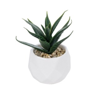 glo-20992-20992_2 GLOBOSTAR® ARTIFICIAL GARDEN SUCCULENT ALOE POTTED PLANT 20992 ΔΙΑΚΟΣΜΗΤΙΚΟ ΦΥΤΟ ΑΛΟΗ Φ8 X