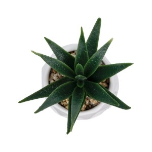 glo-20992-20992_3 GLOBOSTAR® ARTIFICIAL GARDEN SUCCULENT ALOE POTTED PLANT 20992 ΔΙΑΚΟΣΜΗΤΙΚΟ ΦΥΤΟ ΑΛΟΗ Φ8 X
