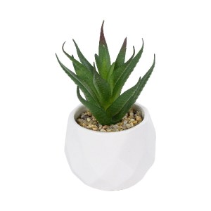 glo-20993-20993_2 GLOBOSTAR® ARTIFICIAL GARDEN SUCCULENT ALOE POTTED PLANT 20993 ΔΙΑΚΟΣΜΗΤΙΚΟ ΦΥΤΟ ΑΛΟΗ Φ8 X