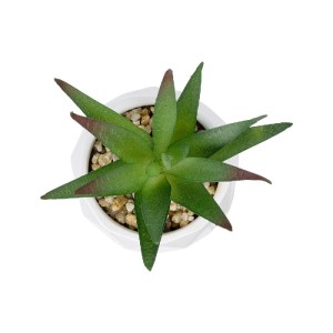 glo-20993-20993_3 GLOBOSTAR® ARTIFICIAL GARDEN SUCCULENT ALOE POTTED PLANT 20993 ΔΙΑΚΟΣΜΗΤΙΚΟ ΦΥΤΟ ΑΛΟΗ Φ8 X