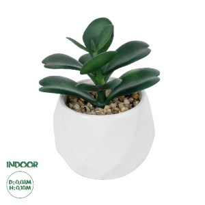 glo-20994-20994_0 GLOBOSTAR® ARTIFICIAL GARDEN SUCCULENT KALANCHOE POTTED PLANT 20994 ΔΙΑΚΟΣΜΗΤΙΚΟ ΦΥΤΟ ΚΑΛΑ