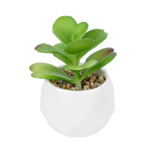 glo-20995-20995_2 GLOBOSTAR® ARTIFICIAL GARDEN SUCCULENT KALANCHOE POTTED PLANT 20995 ΔΙΑΚΟΣΜΗΤΙΚΟ ΦΥΤΟ ΚΑΛΑ