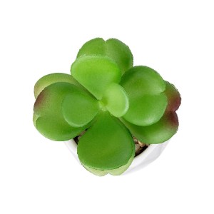 glo-20995-20995_3 GLOBOSTAR® ARTIFICIAL GARDEN SUCCULENT KALANCHOE POTTED PLANT 20995 ΔΙΑΚΟΣΜΗΤΙΚΟ ΦΥΤΟ ΚΑΛΑ