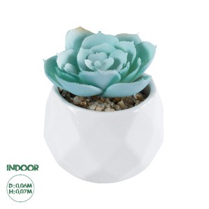 glo-20996-20996_0 GLOBOSTAR® ARTIFICIAL GARDEN SUCCULENT ECHEVERIA 20996 ΔΙΑΚΟΣΜΗΤΙΚΟ ΦΥΤΟ ΠΑΧΥΦΥΤΟ ΕΧΕΒΕΡΙΑ