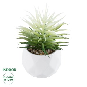 glo-20997-20997_0 GLOBOSTAR® ARTIFICIAL GARDEN SUCCULENT SENECIO 20997 ΔΙΑΚΟΣΜΗΤΙΚΟ ΦΥΤΟ ΠΑΧΥΦΥΤΟ ΣΕΝΕΚΙΟ Υ1