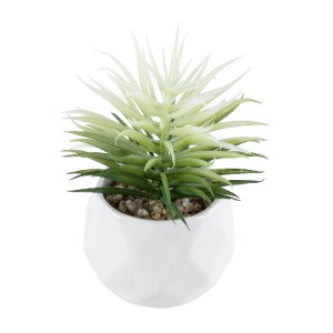 glo-20997-20997_2 GLOBOSTAR® ARTIFICIAL GARDEN SUCCULENT SENECIO 20997 ΔΙΑΚΟΣΜΗΤΙΚΟ ΦΥΤΟ ΠΑΧΥΦΥΤΟ ΣΕΝΕΚΙΟ Υ1