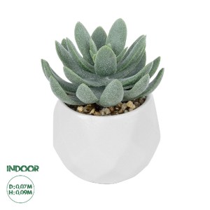 glo-20998-20998_0 GLOBOSTAR® ARTIFICIAL GARDEN SUCCULENT SEDEVERIA POTTED PLANT 20998 ΔΙΑΚΟΣΜΗΤΙΚΟ ΦΥΤΟ ΣΕΔΕ