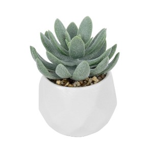 glo-20998-20998_2 GLOBOSTAR® ARTIFICIAL GARDEN SUCCULENT SEDEVERIA POTTED PLANT 20998 ΔΙΑΚΟΣΜΗΤΙΚΟ ΦΥΤΟ ΣΕΔΕ