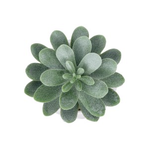 glo-20998-20998_3 GLOBOSTAR® ARTIFICIAL GARDEN SUCCULENT SEDEVERIA POTTED PLANT 20998 ΔΙΑΚΟΣΜΗΤΙΚΟ ΦΥΤΟ ΣΕΔΕ