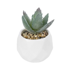 glo-20999-20999_2 GLOBOSTAR® ARTIFICIAL GARDEN SUCCULENT ALOE POTTED PLANT 20999 ΔΙΑΚΟΣΜΗΤΙΚΟ ΦΥΤΟ ΑΛΟΗ  Φ7 