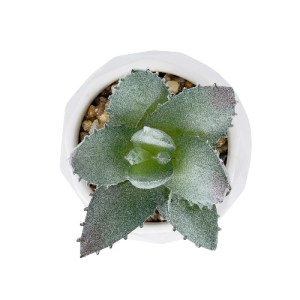 glo-20999-20999_3 GLOBOSTAR® ARTIFICIAL GARDEN SUCCULENT ALOE POTTED PLANT 20999 ΔΙΑΚΟΣΜΗΤΙΚΟ ΦΥΤΟ ΑΛΟΗ  Φ7 