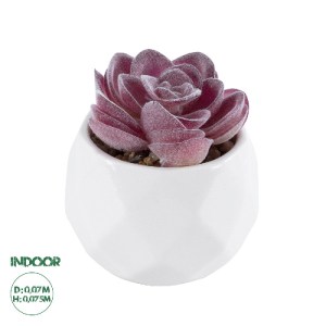 glo-21000-21000_0 GLOBOSTAR® ARTIFICIAL GARDEN SUCCULENT ECHEVERIA 21000 ΔΙΑΚΟΣΜΗΤΙΚΟ ΦΥΤΟ ΠΑΧΥΦΥΤΟ ΕΧΕΒΕΡΙΑ
