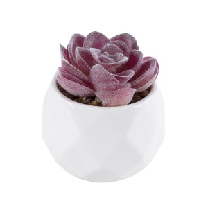 glo-21000-21000_2 GLOBOSTAR® ARTIFICIAL GARDEN SUCCULENT ECHEVERIA 21000 ΔΙΑΚΟΣΜΗΤΙΚΟ ΦΥΤΟ ΠΑΧΥΦΥΤΟ ΕΧΕΒΕΡΙΑ