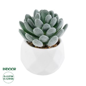 glo-21001-21001_0 GLOBOSTAR® ARTIFICIAL GARDEN SUCCULENT SEDEVERIA 21001 ΔΙΑΚΟΣΜΗΤΙΚΟ ΦΥΤΟ ΠΑΧΥΦΥΤΟ ΣΕΝΤΕΒΕΡ