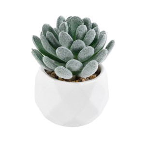 glo-21001-21001_2 GLOBOSTAR® ARTIFICIAL GARDEN SUCCULENT SEDEVERIA 21001 ΔΙΑΚΟΣΜΗΤΙΚΟ ΦΥΤΟ ΠΑΧΥΦΥΤΟ ΣΕΝΤΕΒΕΡ