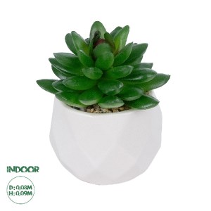 glo-21002-21002_0 GLOBOSTAR® ARTIFICIAL GARDEN SUCCULENT SEDEVERIA POTTED PLANT 21002 ΔΙΑΚΟΣΜΗΤΙΚΟ ΦΥΤΟ ΣΕΔΕ