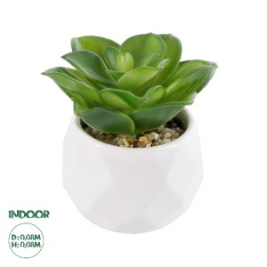 glo-21003-21003_0 GLOBOSTAR® ARTIFICIAL GARDEN SUCCULENT ECHEVERIA 21003 ΔΙΑΚΟΣΜΗΤΙΚΟ ΦΥΤΟ ΠΑΧΥΦΥΤΟ ΕΧΕΒΕΡΙΑ