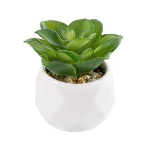 glo-21003-21003_2 GLOBOSTAR® ARTIFICIAL GARDEN SUCCULENT ECHEVERIA 21003 ΔΙΑΚΟΣΜΗΤΙΚΟ ΦΥΤΟ ΠΑΧΥΦΥΤΟ ΕΧΕΒΕΡΙΑ