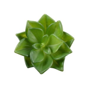 glo-21003-21003_3 GLOBOSTAR® ARTIFICIAL GARDEN SUCCULENT ECHEVERIA 21003 ΔΙΑΚΟΣΜΗΤΙΚΟ ΦΥΤΟ ΠΑΧΥΦΥΤΟ ΕΧΕΒΕΡΙΑ