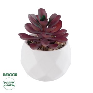 glo-21004-21004_0 GLOBOSTAR® ARTIFICIAL GARDEN SUCCULENT CRASSULA 21004 ΔΙΑΚΟΣΜΗΤΙΚΟ ΦΥΤΟ ΠΑΧΥΦΥΤΟ ΚΡΑΣΟΥΛΑ 