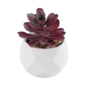 glo-21004-21004_2 GLOBOSTAR® ARTIFICIAL GARDEN SUCCULENT CRASSULA 21004 ΔΙΑΚΟΣΜΗΤΙΚΟ ΦΥΤΟ ΠΑΧΥΦΥΤΟ ΚΡΑΣΟΥΛΑ 