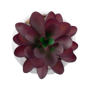 glo-21004-21004_3 GLOBOSTAR® ARTIFICIAL GARDEN SUCCULENT CRASSULA 21004 ΔΙΑΚΟΣΜΗΤΙΚΟ ΦΥΤΟ ΠΑΧΥΦΥΤΟ ΚΡΑΣΟΥΛΑ 