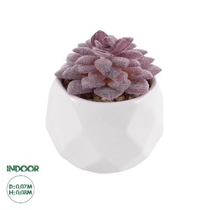 glo-21005-21005_0 GLOBOSTAR® ARTIFICIAL GARDEN SUCCULENT SEDEVERIA 21005 ΔΙΑΚΟΣΜΗΤΙΚΟ ΦΥΤΟ ΠΑΧΥΦΥΤΟ ΣΕΝΤΕΒΕΡ
