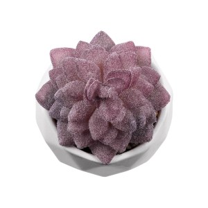 glo-21005-21005_3 GLOBOSTAR® ARTIFICIAL GARDEN SUCCULENT SEDEVERIA 21005 ΔΙΑΚΟΣΜΗΤΙΚΟ ΦΥΤΟ ΠΑΧΥΦΥΤΟ ΣΕΝΤΕΒΕΡ