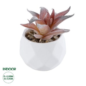 glo-21006-21006_0 GLOBOSTAR® ARTIFICIAL GARDEN SUCCULENT ALOE 21006 ΔΙΑΚΟΣΜΗΤΙΚΟ ΦΥΤΟ ΠΑΧΥΦΥΤΟ ΑΛΟΗ Υ10CM