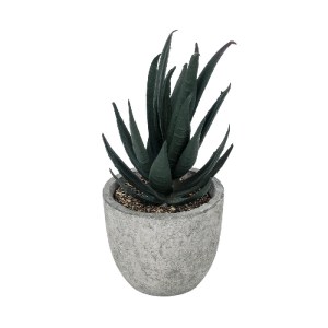glo-21007-21007_2 GLOBOSTAR® ARTIFICIAL GARDEN SUCCULENT ALOE POTTED PLANT 21007 ΔΙΑΚΟΣΜΗΤΙΚΟ ΦΥΤΟ ΑΛΟΗ  Φ7 