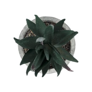 glo-21007-21007_3 GLOBOSTAR® ARTIFICIAL GARDEN SUCCULENT ALOE POTTED PLANT 21007 ΔΙΑΚΟΣΜΗΤΙΚΟ ΦΥΤΟ ΑΛΟΗ  Φ7 