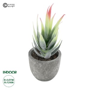 glo-21009-21009_0 GLOBOSTAR® ARTIFICIAL GARDEN SUCCULENT ALOE 21009 ΔΙΑΚΟΣΜΗΤΙΚΟ ΦΥΤΟ ΠΑΧΥΦΥΤΟ ΑΛΟΗ Υ14CM