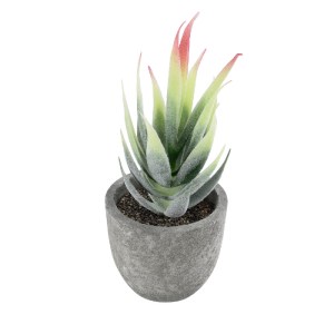 glo-21009-21009_2 GLOBOSTAR® ARTIFICIAL GARDEN SUCCULENT ALOE 21009 ΔΙΑΚΟΣΜΗΤΙΚΟ ΦΥΤΟ ΠΑΧΥΦΥΤΟ ΑΛΟΗ Υ14CM