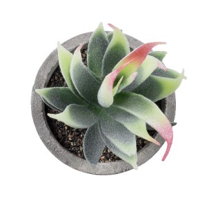 glo-21009-21009_3 GLOBOSTAR® ARTIFICIAL GARDEN SUCCULENT ALOE 21009 ΔΙΑΚΟΣΜΗΤΙΚΟ ΦΥΤΟ ΠΑΧΥΦΥΤΟ ΑΛΟΗ Υ14CM