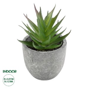 glo-21010-21010_0 GLOBOSTAR® ARTIFICIAL GARDEN SUCCULENT ALOE 21010 ΔΙΑΚΟΣΜΗΤΙΚΟ ΦΥΤΟ ΠΑΧΥΦΥΤΟ ΑΛΟΗ Υ11CM
