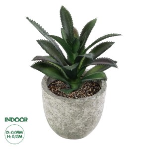 glo-21011-21011_0 GLOBOSTAR® ARTIFICIAL GARDEN SUCCULENT ALOE 21011 ΔΙΑΚΟΣΜΗΤΙΚΟ ΦΥΤΟ ΠΑΧΥΦΥΤΟ ΑΛΟΗ Υ13CM