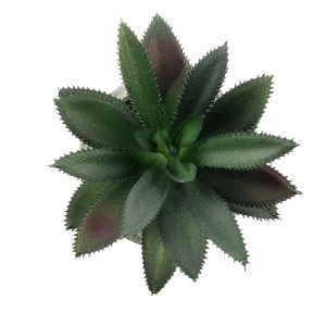 glo-21011-21011_3 GLOBOSTAR® ARTIFICIAL GARDEN SUCCULENT ALOE 21011 ΔΙΑΚΟΣΜΗΤΙΚΟ ΦΥΤΟ ΠΑΧΥΦΥΤΟ ΑΛΟΗ Υ13CM