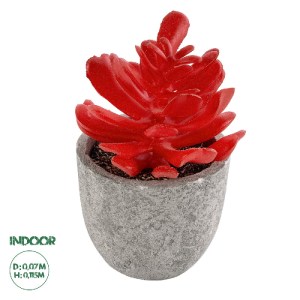 glo-21013-21013_0 GLOBOSTAR® ARTIFICIAL GARDEN SUCCULENT CRASSULA 21013 ΔΙΑΚΟΣΜΗΤΙΚΟ ΦΥΤΟ ΠΑΧΥΦΥΤΟ ΚΡΑΣΟΥΛΑ 