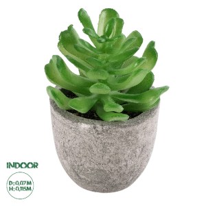 glo-21014-21014_0 GLOBOSTAR® ARTIFICIAL GARDEN SUCCULENT CRASSULA 21014 ΔΙΑΚΟΣΜΗΤΙΚΟ ΦΥΤΟ ΠΑΧΥΦΥΤΟ ΚΡΑΣΟΥΛΑ 
