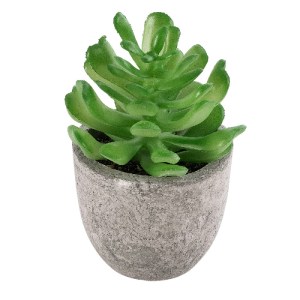 glo-21014-21014_2 GLOBOSTAR® ARTIFICIAL GARDEN SUCCULENT CRASSULA 21014 ΔΙΑΚΟΣΜΗΤΙΚΟ ΦΥΤΟ ΠΑΧΥΦΥΤΟ ΚΡΑΣΟΥΛΑ 