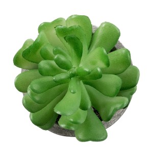 glo-21014-21014_3 GLOBOSTAR® ARTIFICIAL GARDEN SUCCULENT CRASSULA 21014 ΔΙΑΚΟΣΜΗΤΙΚΟ ΦΥΤΟ ΠΑΧΥΦΥΤΟ ΚΡΑΣΟΥΛΑ 