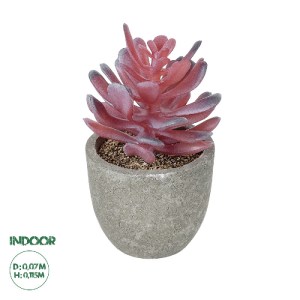 glo-21015-21015_0 GLOBOSTAR® ARTIFICIAL GARDEN SUCCULENT CRASSULA POTTED PLANT 21015 ΔΙΑΚΟΣΜΗΤΙΚΟ ΦΥΤΟ ΚΡΑΣΟ